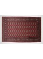Teppich Buchara Rot 160x250 cm Pakistan - 100% Schurwolle