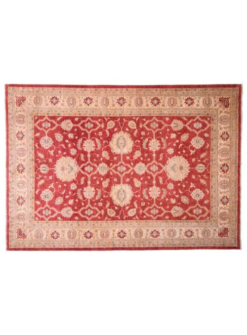 Teppich Chobi Rot 210x300 cm Afghanistan - 100% Hochlandschurwolle